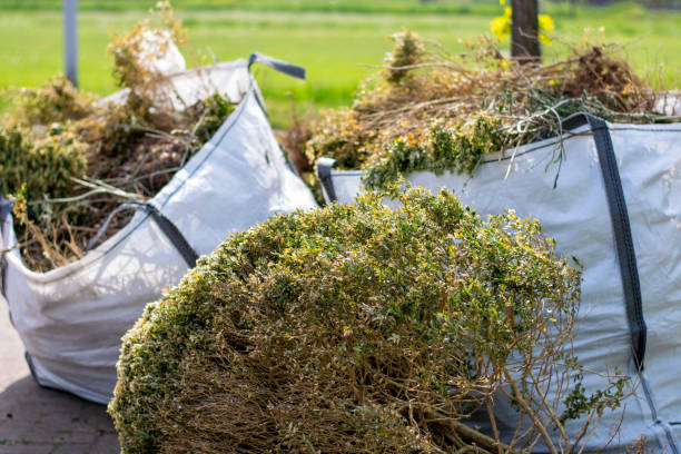 Best Attic Cleanout Services  in Ciborne, LA